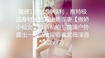 重磅12月女神福利，推特极品身材长腿露出娇淫妻【傲娇小仙女】最新私拍，洗澡户外露出一字马放尿销魂紫薇淫语挑逗v (2)