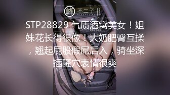 STP28829 气质酒窝美女！姐妹花长得很像！大奶肥臀互揉，翘起屁股假屌后入，骑坐深插骚穴表情很爽