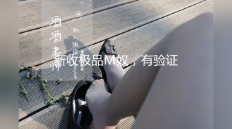 新收极品M奴，有验证