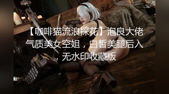 【咖啡猫流浪探花】泡良大佬气质美女空姐，白皙美腿后入，无水印收藏版