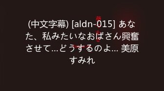 (中文字幕) [aldn-015] あなた、私みたいなおばさん興奮させて…どうするのよ… 美原すみれ