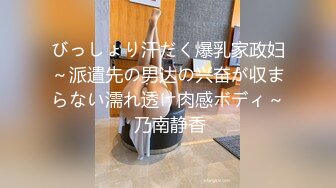 びっしょり汗だく爆乳家政妇～派遣先の男达の兴奋が収まらない濡れ透け肉感ボディ～ 乃南静香