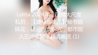 Lolita 2024年，国模大尺度私拍，【婕咪&啤儿】秘书姐妹花，极品白虎粉穴，都市丽人三点全露，超清画质 (1)