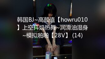 韩国BJ~高颜值【howru010】上空抖奶热舞~润滑油湿身~模拟啪啪【28V】 (14)