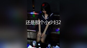 还是那个小少妇2